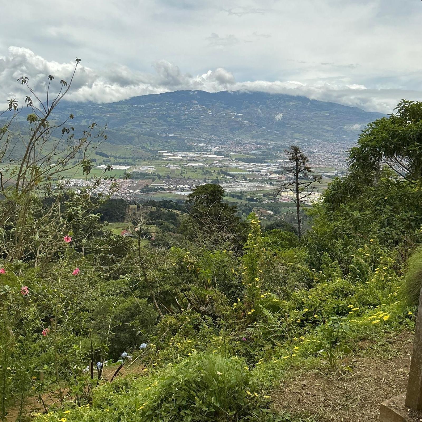 Hotel Vistas Del Cielo Cartago Eksteriør bilde